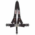 G-Force 6020BK Seat Belt - Black G50-6020BK